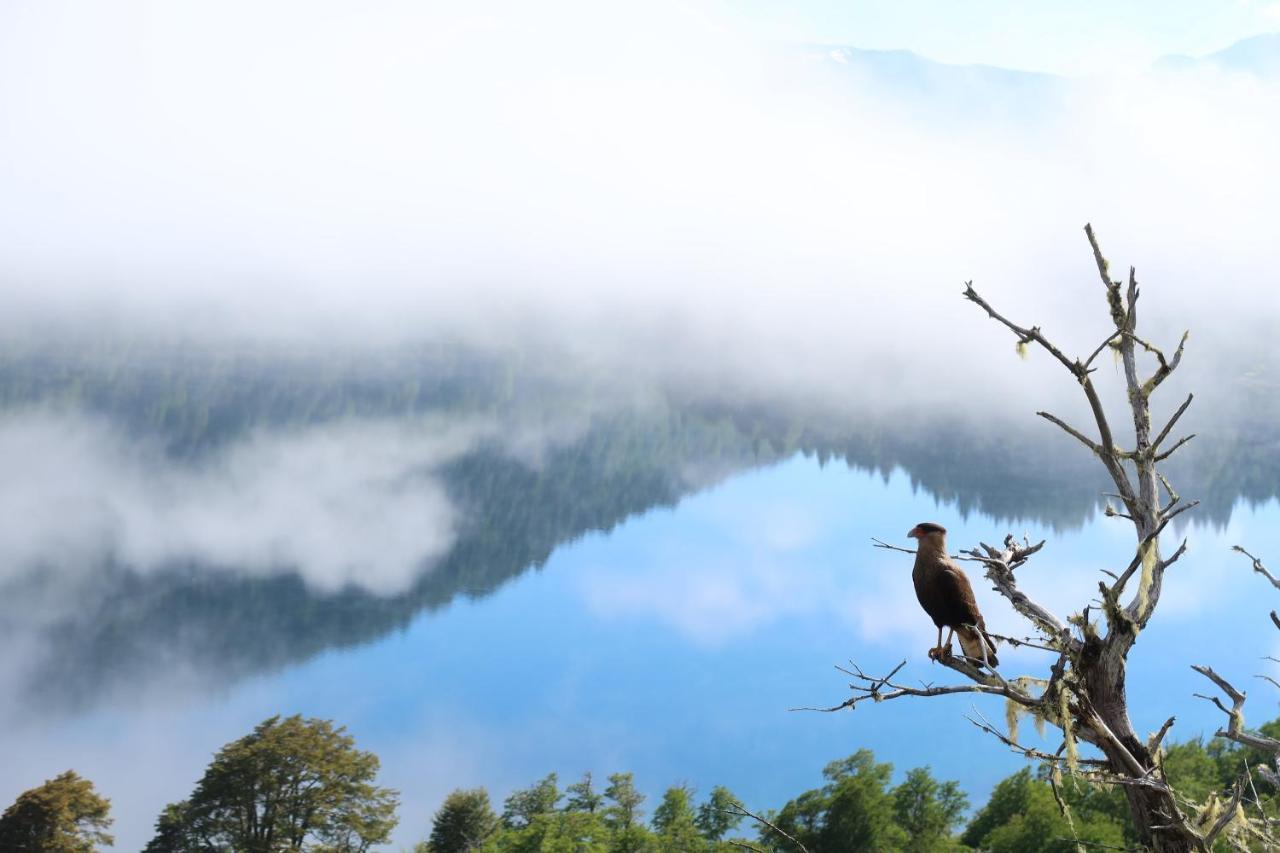 Hermoso Eco Lodge San Martín de los Andes Zewnętrze zdjęcie