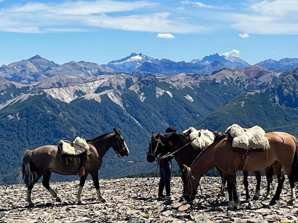 Hermoso Eco Lodge San Martín de los Andes Zewnętrze zdjęcie